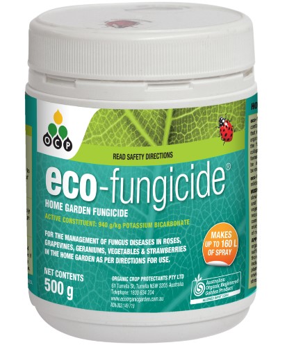 Eco-Organic Garden